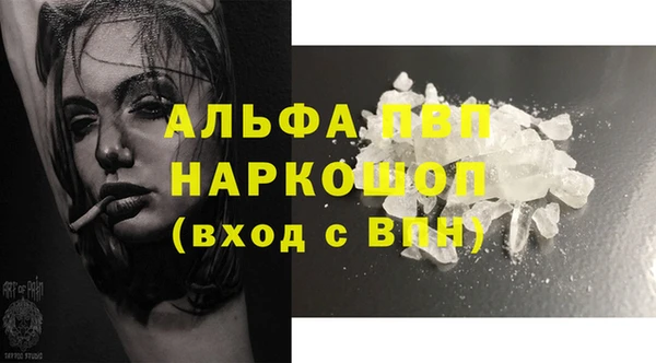 PSILOCYBIN Алзамай