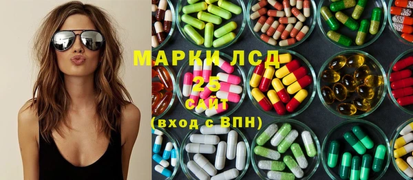 PSILOCYBIN Алзамай