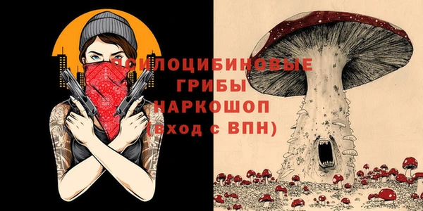 PSILOCYBIN Алзамай