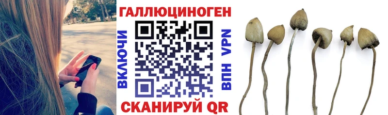 Галлюциногенные грибы Magic Shrooms Купить Клин